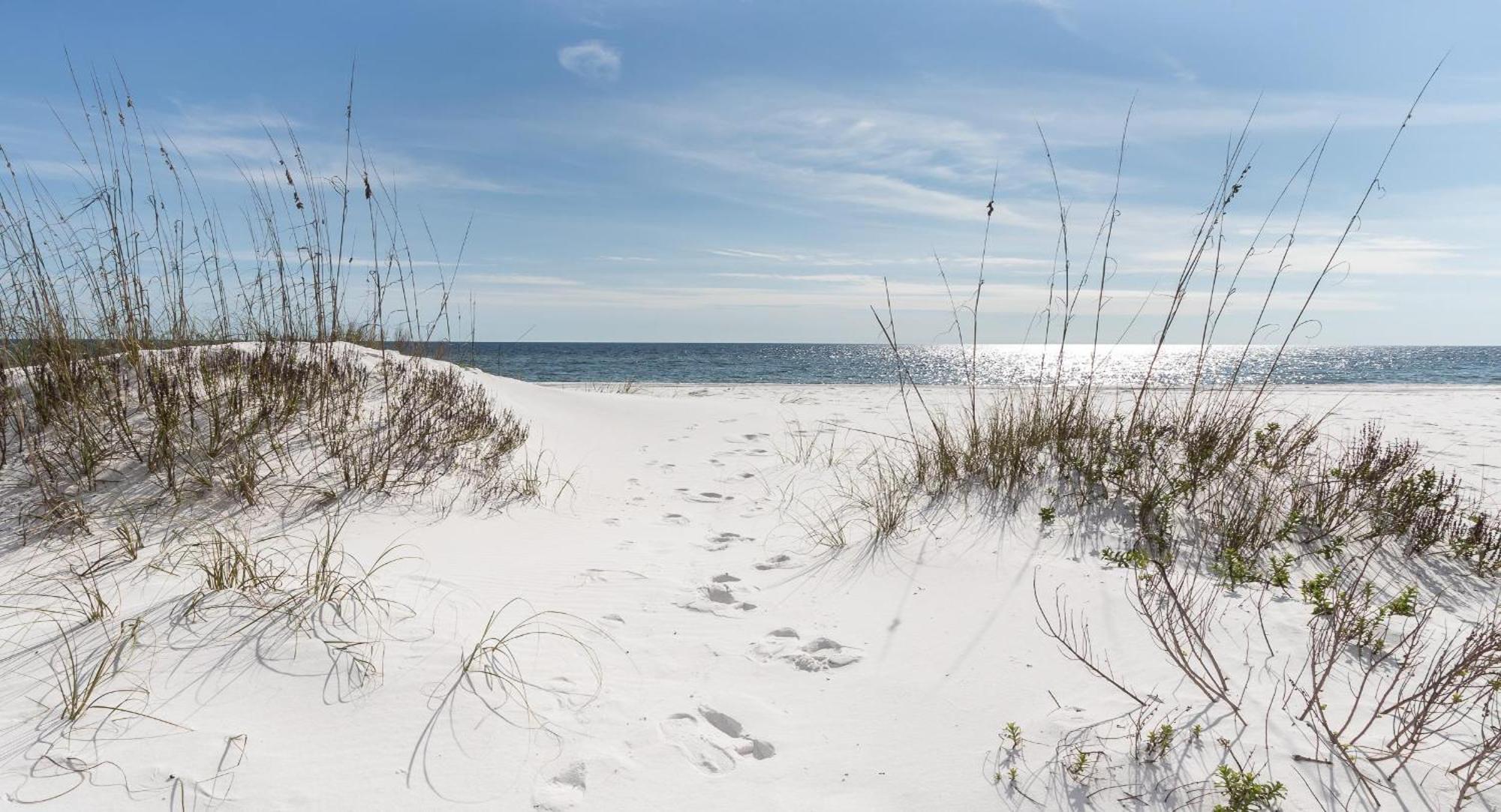 Nautilus 1201 - Gulf Front 2 Bedroom Huge Wrap Around Balcony 2Nd Floor! Fort Walton Beach Eksteriør billede