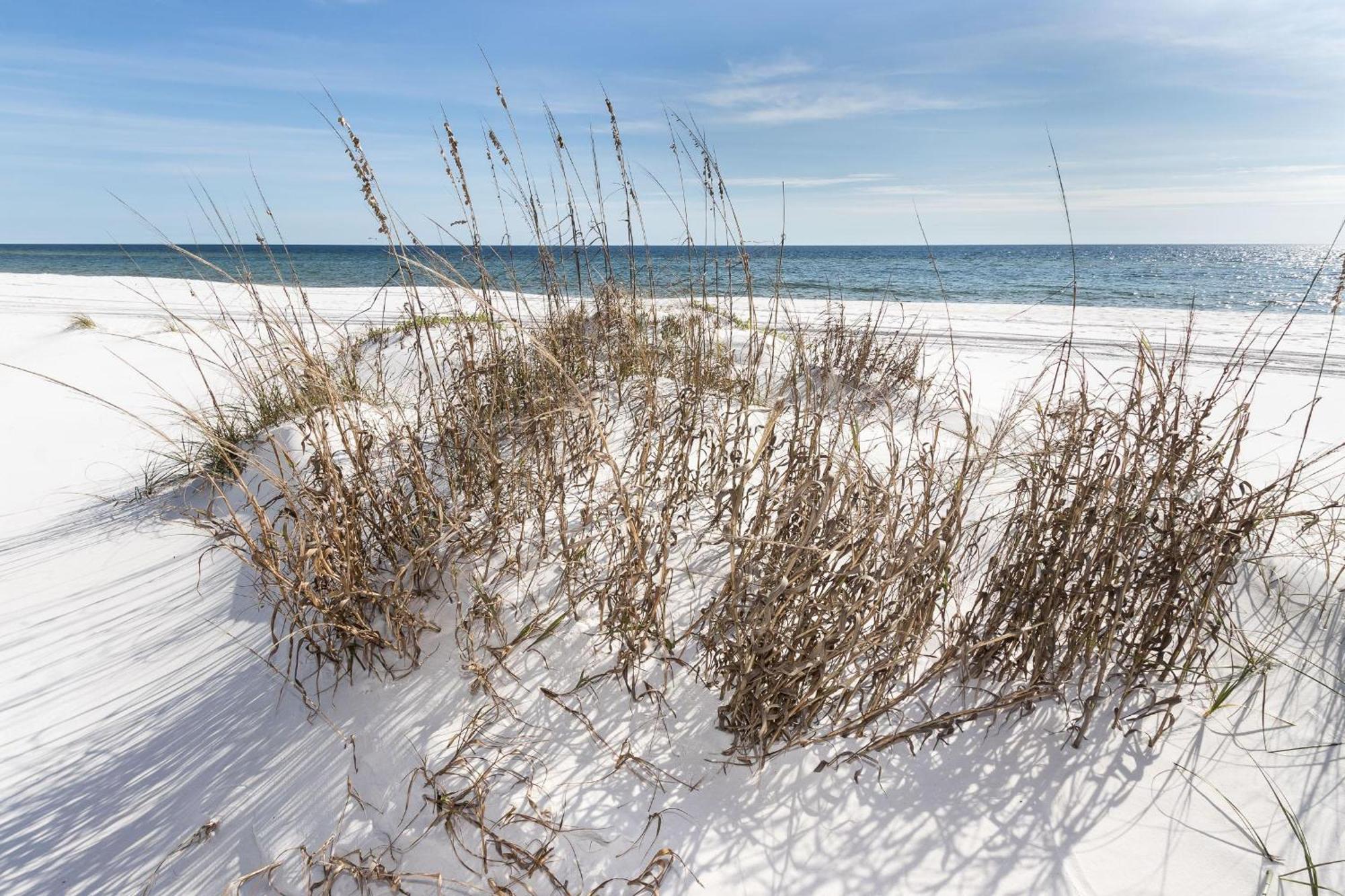 Nautilus 1201 - Gulf Front 2 Bedroom Huge Wrap Around Balcony 2Nd Floor! Fort Walton Beach Eksteriør billede
