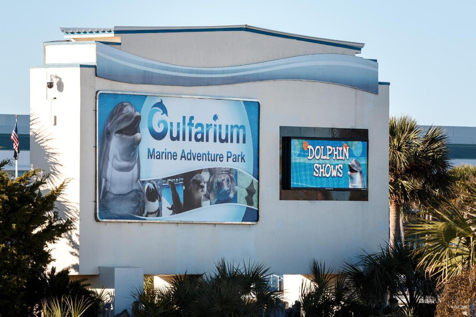 Nautilus 1201 - Gulf Front 2 Bedroom Huge Wrap Around Balcony 2Nd Floor! Fort Walton Beach Eksteriør billede
